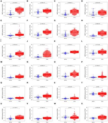 MMP25 Regulates Immune Infiltration Level and Survival Outcome in Head and Neck Cancer Patients